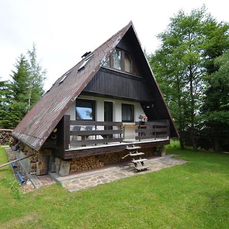 Nice Holiday Home In The Ore Mountains Only 500M From The Chairlift Loučná pod Klínovcem Buitenkant foto