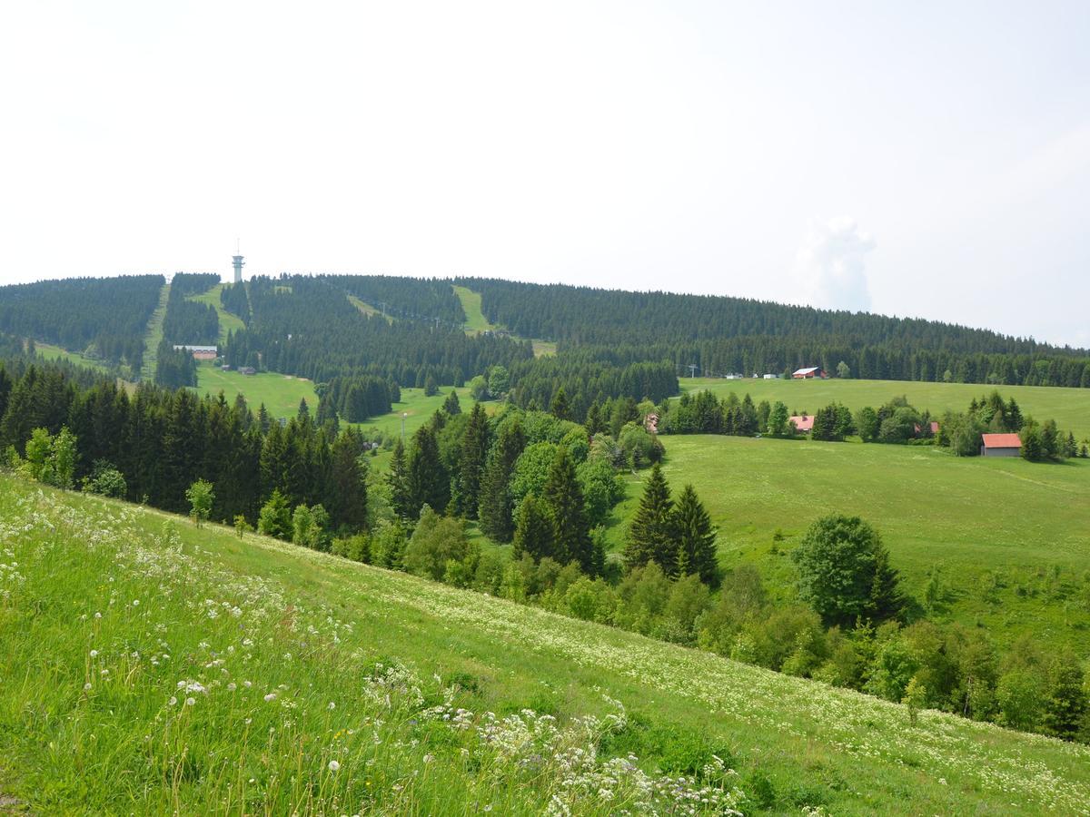 Nice Holiday Home In The Ore Mountains Only 500M From The Chairlift Loučná pod Klínovcem Buitenkant foto